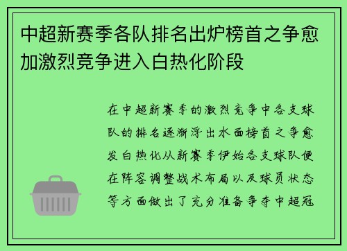 中超新赛季各队排名出炉榜首之争愈加激烈竞争进入白热化阶段